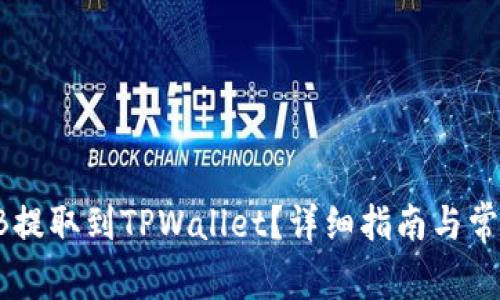 如何将SHIB提取到TPWallet？详细指南与常见问题解答