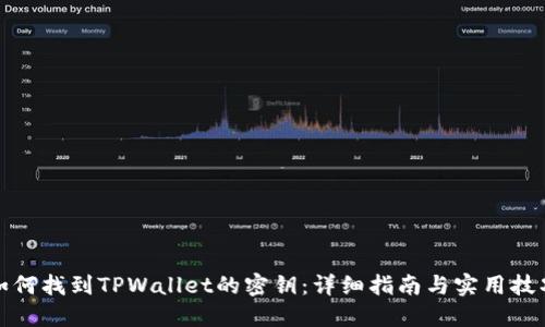 如何找到TPWallet的密钥：详细指南与实用技巧