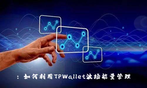 : 如何利用TPWallet波场能量管理