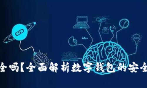 TP数字钱包安全吗？全面解析数字钱包的安全性与使用风险