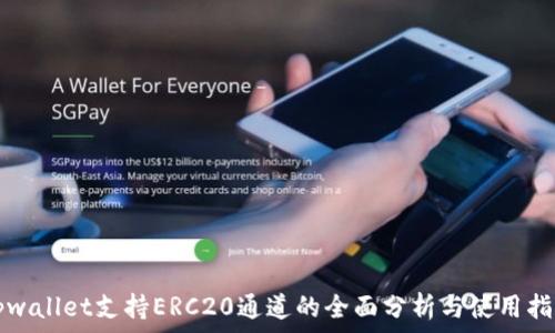   
tpwallet支持ERC20通道的全面分析与使用指南