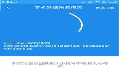 
所有币种都能转入TP Wallet吗？全面解析TP Wallet支持的加密币种