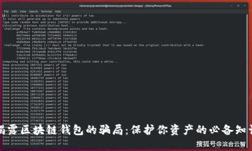 揭露区块链钱包的骗局：保护你资产的必备知识