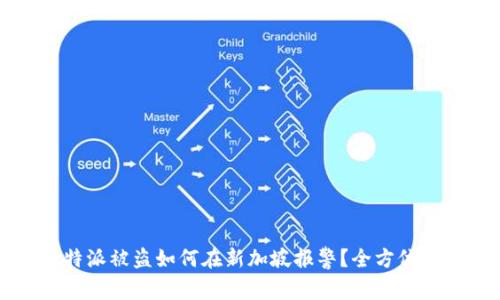 比特派被盗如何在新加坡报警？全方位指南