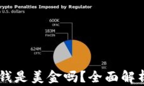 
TPWallet里的钱是美金吗？全面解析数字钱包货币